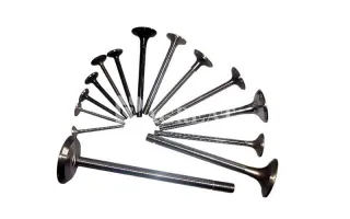 Genuine Engine Auto Parts Intake/Exhaust Engine Valve 1004120084 for WEICHAI WP12 WD615