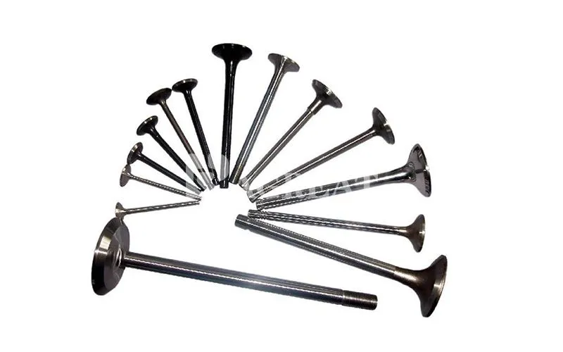 Genuine Engine Auto Parts Intake/Exhaust Engine Valve 1004120084 for WEICHAI WP12 WD615