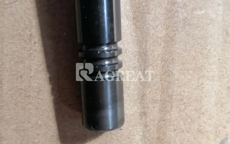 Genuine Engine Auto Parts Intake/Exhaust Engine Valve 1004120084 for WEICHAI WP12 WD615