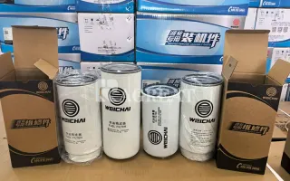 Diesel Engine Fuel Filter Cartridges1000700909 For Weichai WD615 WD10 Engine