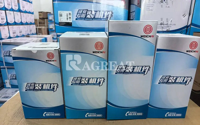 Diesel Engine Fuel Filter Cartridges1000700909 For Weichai WD615 WD10 Engine