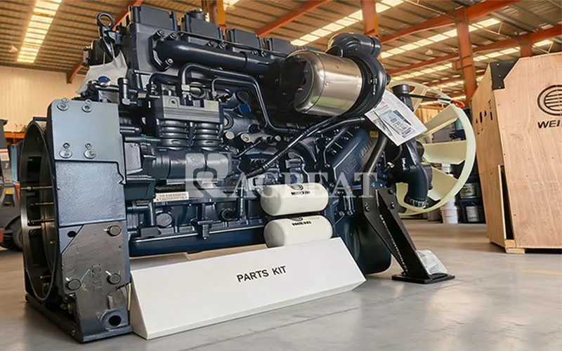 Weichai  Diesel Engine Assembly WP12 series Engines For Sinotruk HOWO Hohan Shacman FAW