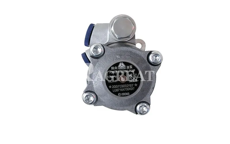 Hydraulic Pump / Power Steering Pump LG9716470040