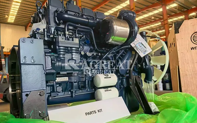 Genuine Weichai Diesel Engine WP10/WP12 for SINOTRUK, SHACMAN