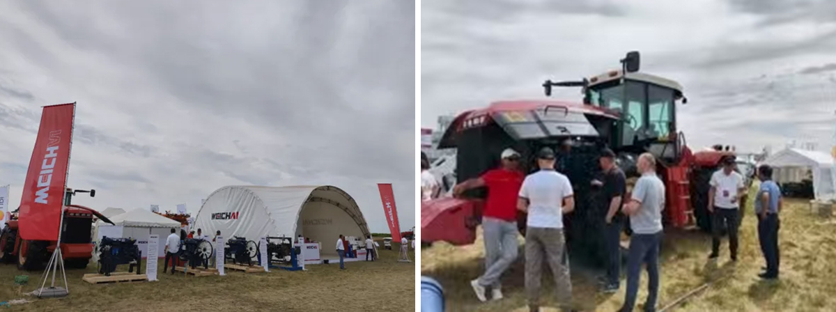 Cross-cultural dance together, win across mountains and seas. Shandong Heavy Industry's brand localization goes deeper.