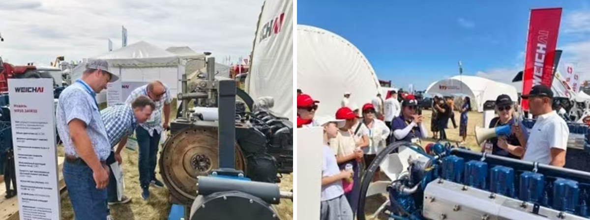 Cross-cultural dance together, win across mountains and seas. Shandong Heavy Industry's brand localization goes deeper.